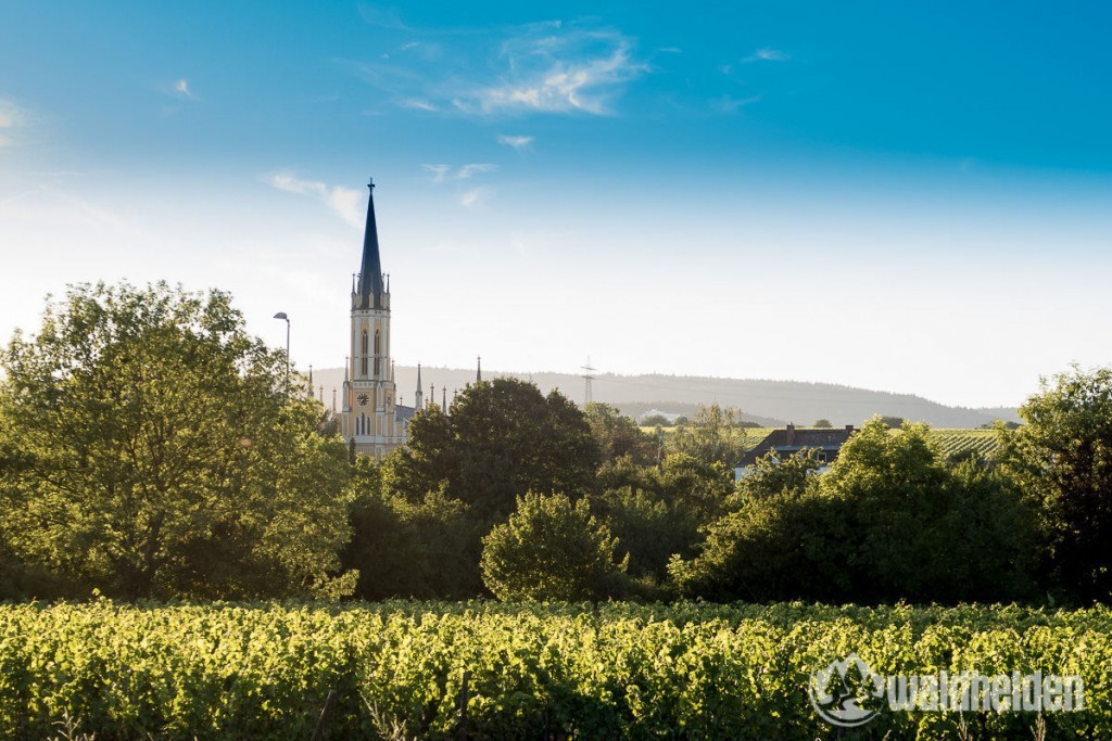 Eltville-am-Rhein