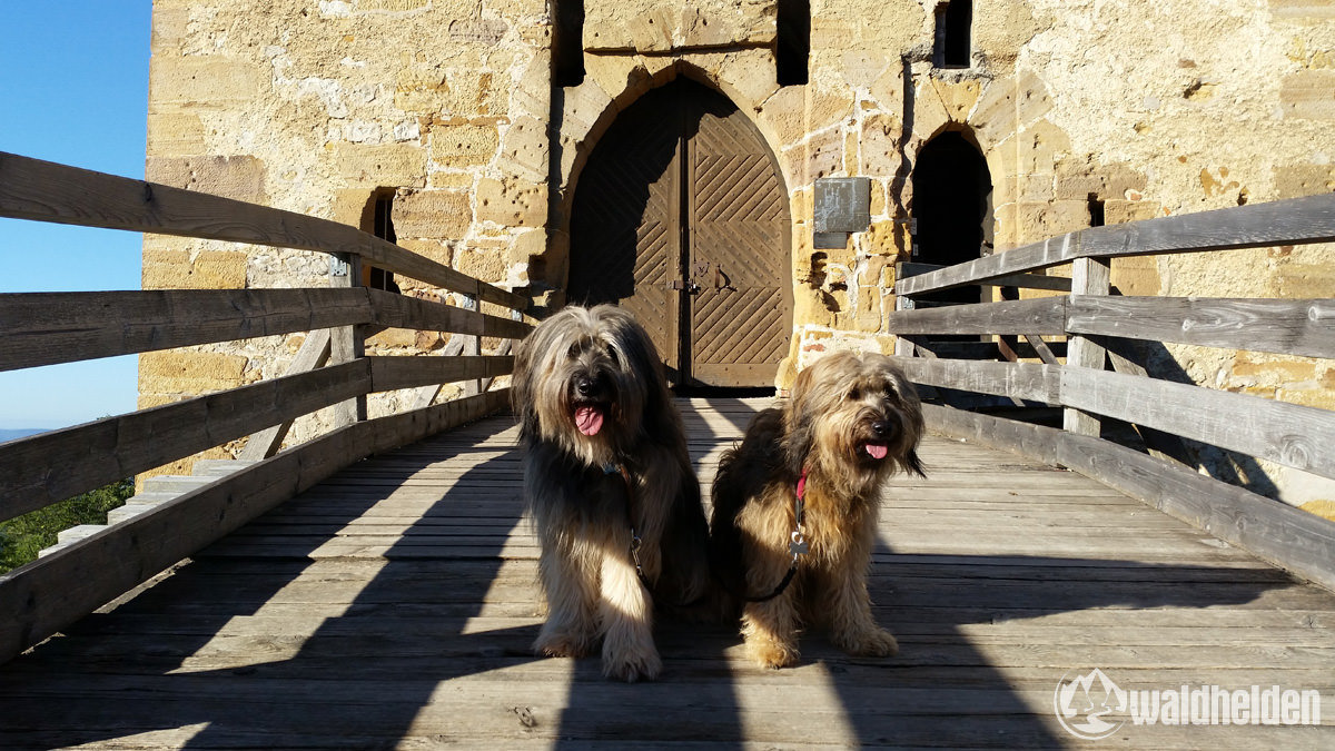 Burgtor mit Brücke