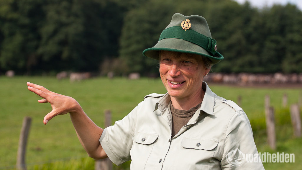 Forstoberinspektorin Friederike Roevekamp erklärt uns das Gruppenverhalten der Wildpferde im Merfelder Bruch.