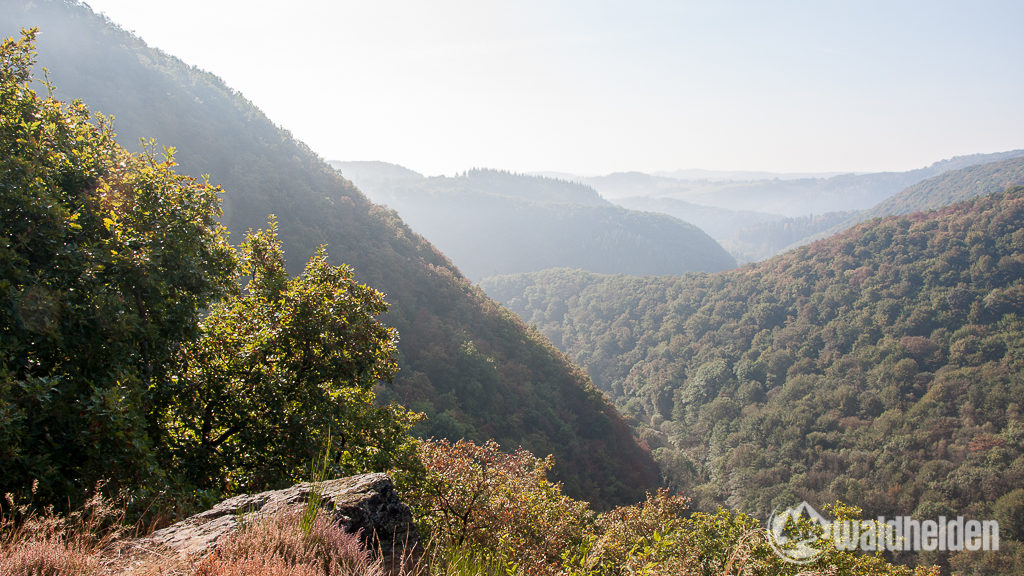 Westerwaldsteig Aussicht aufs Wiedtal