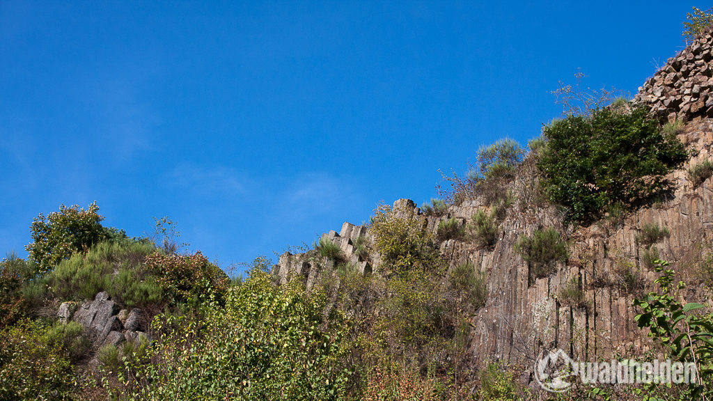 Westerwaldsteig Roßbacher Häubchen