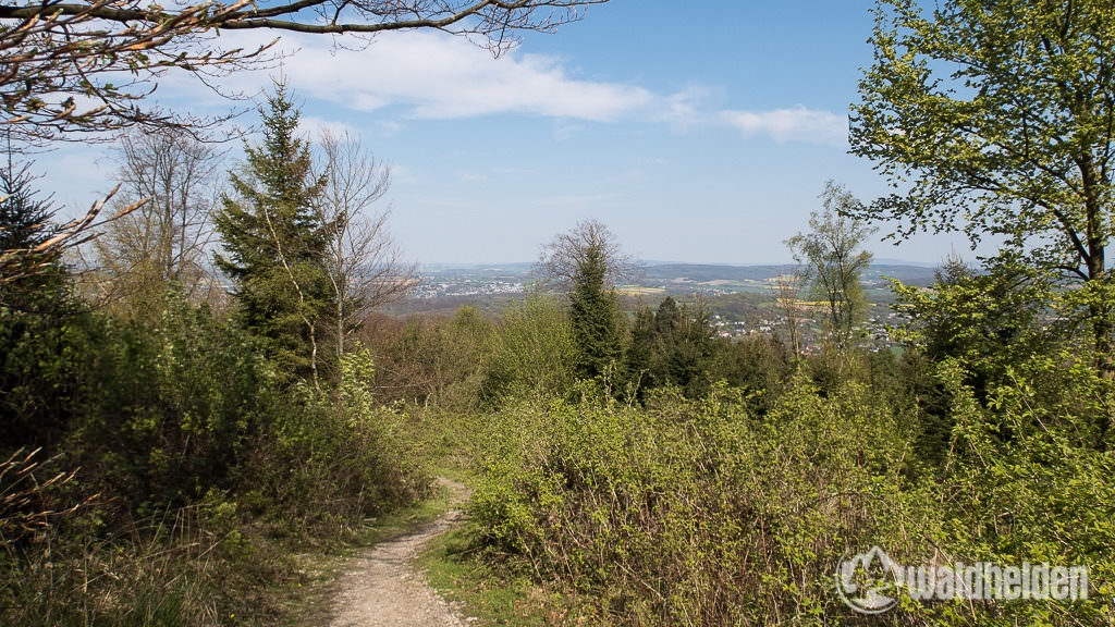 Hermannsdenkmal Blick auf Detmold