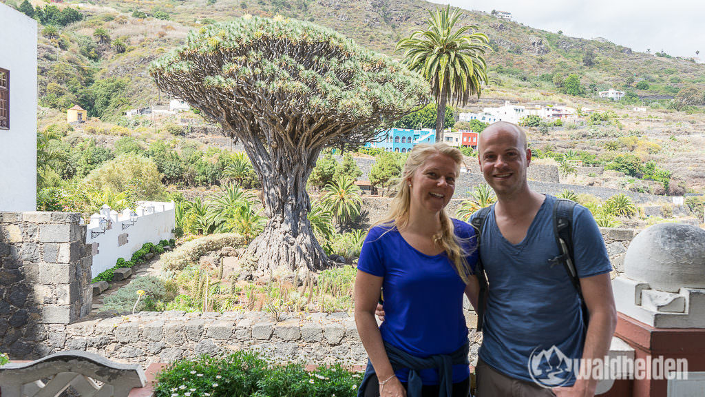 Der Drachenbaum in Icod de los Vinos