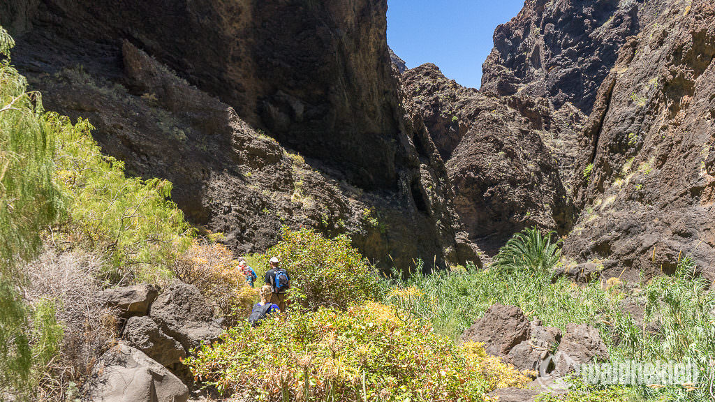 Pfad durch die Masca Schlucht