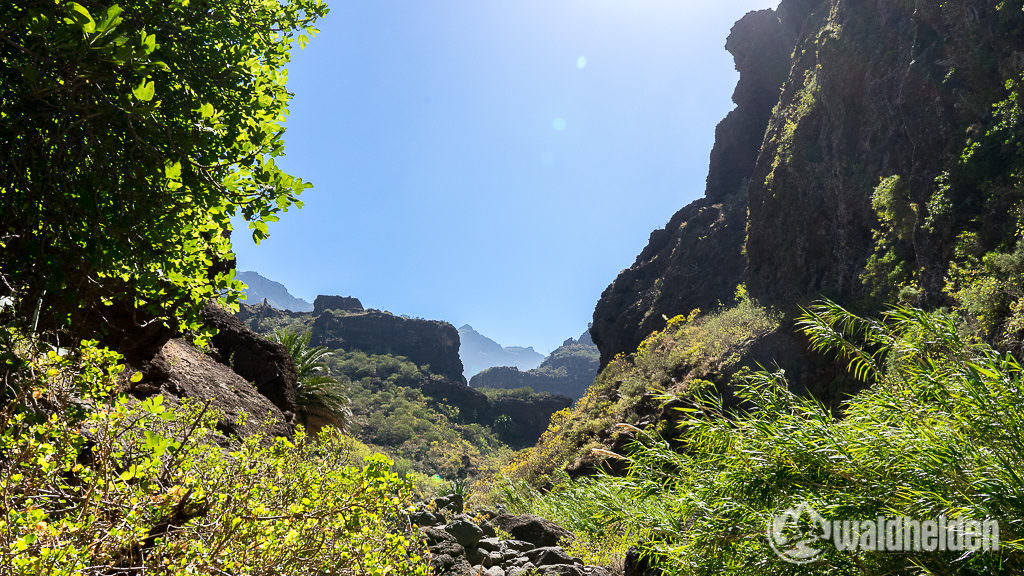 Masca Schlucht Wandern im Norden von Teneriffa