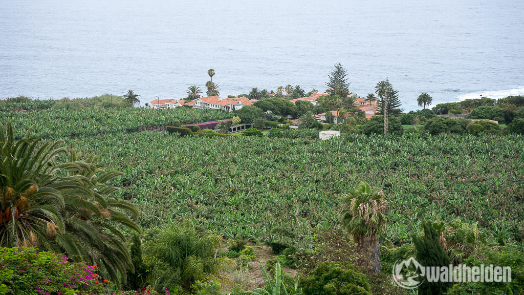 Mirador Sankt Pedro Bananen Nordteneriffa