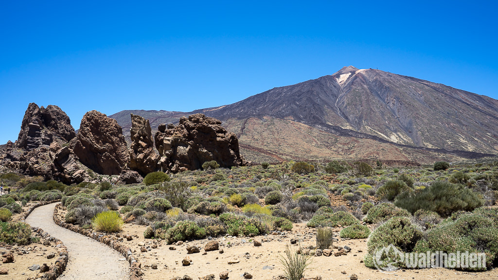 Der Teide - Wandern im Norden von Teneriffa