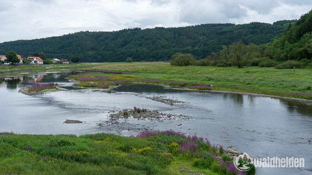 Die Eder im Sauerland