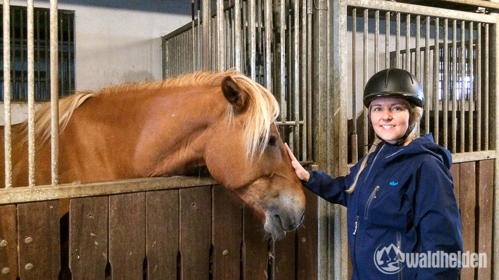 Finnpferd Hävi und die Waldheldin nach der Reitstunde.