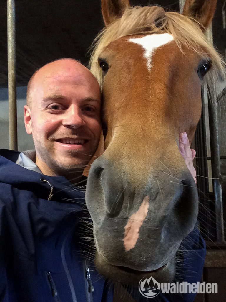 Reiten im Sauerland - Kelly und ich verstehen uns auf Anhieb