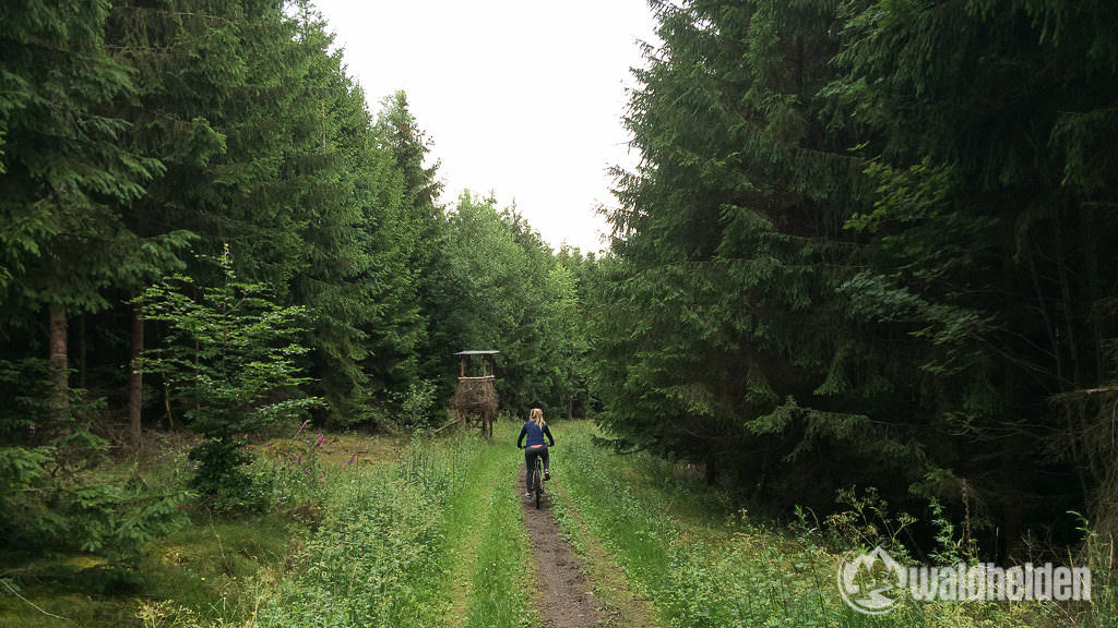 Trailsurfen im Sauerland - zurück zum Hotel geht es über schmale Pfade