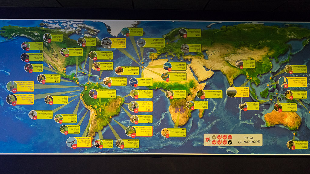 Siam Park und Loro Parque auf Teneriffa Einmal wieder Kind sein