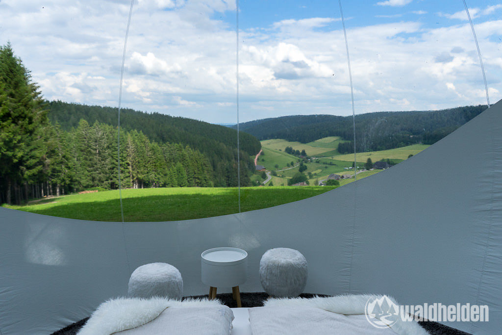 Glamping im Schwarzwald Ausblick aus dem Bubble Tent