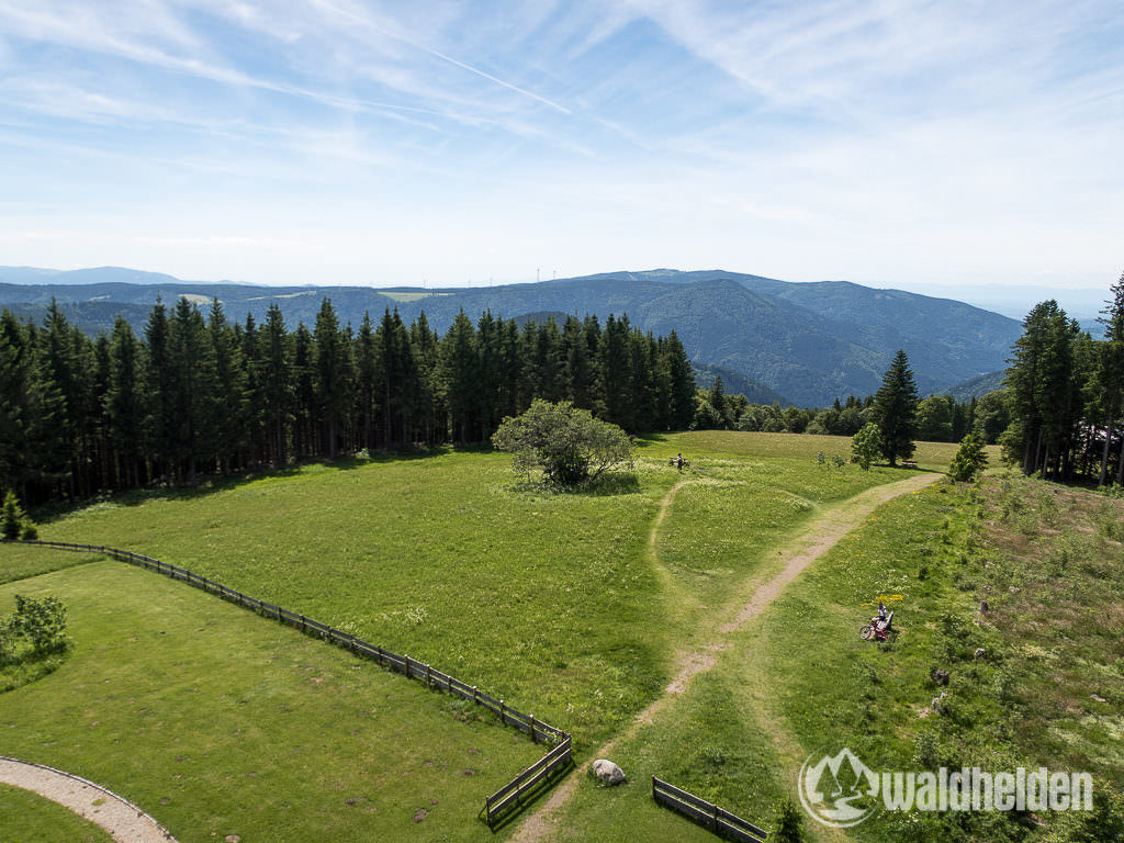 Aussicht vom Brendturm im Schwarzwald