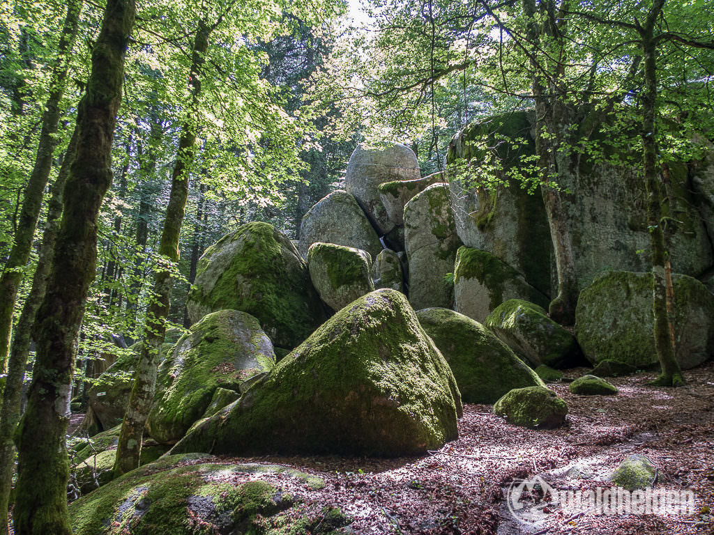 Günterfelsen im Schwarzwald