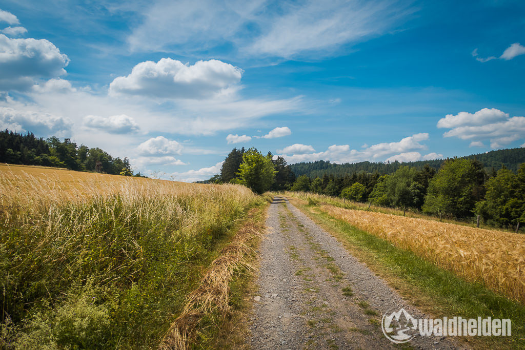 Mountainbiken Tour Edersee