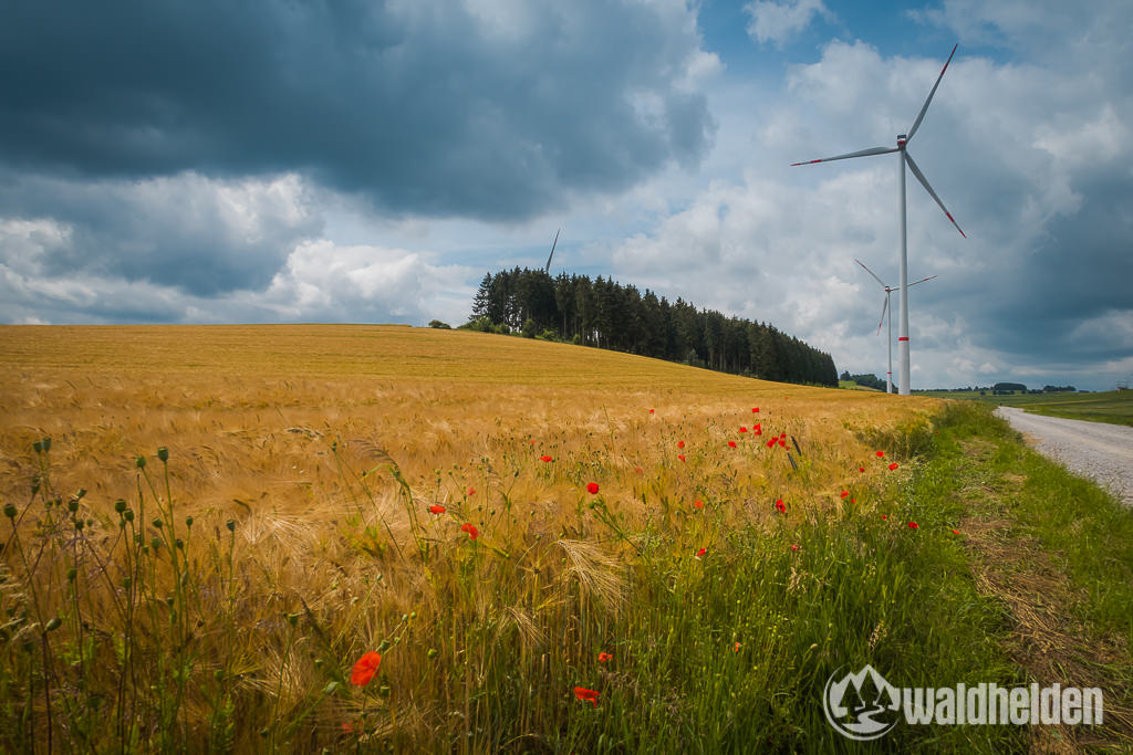 GeoRadroute Winterberg Willingen Mohnblumen Brilon