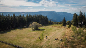 Ferienland Schwarzwald