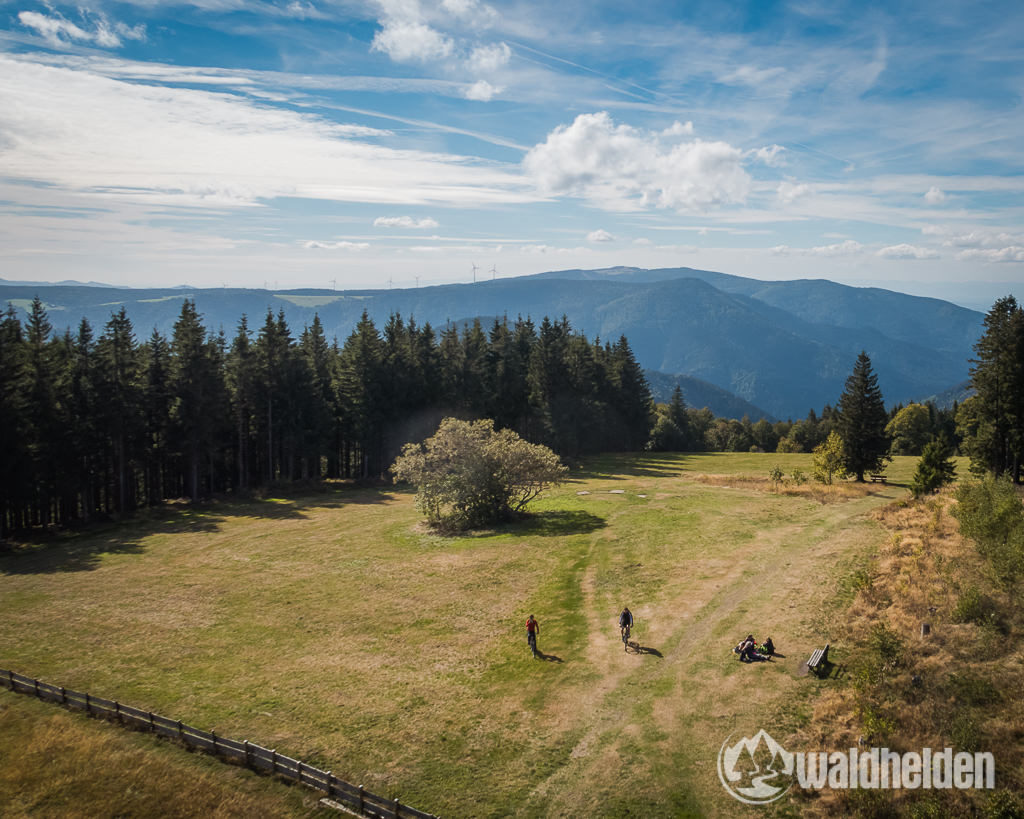 Ferienland Schwarzwald Ausblick vom Brendturm