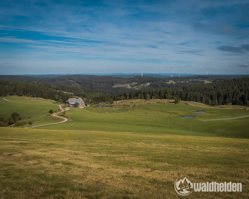 Ferienland Schwarzwald Panorama