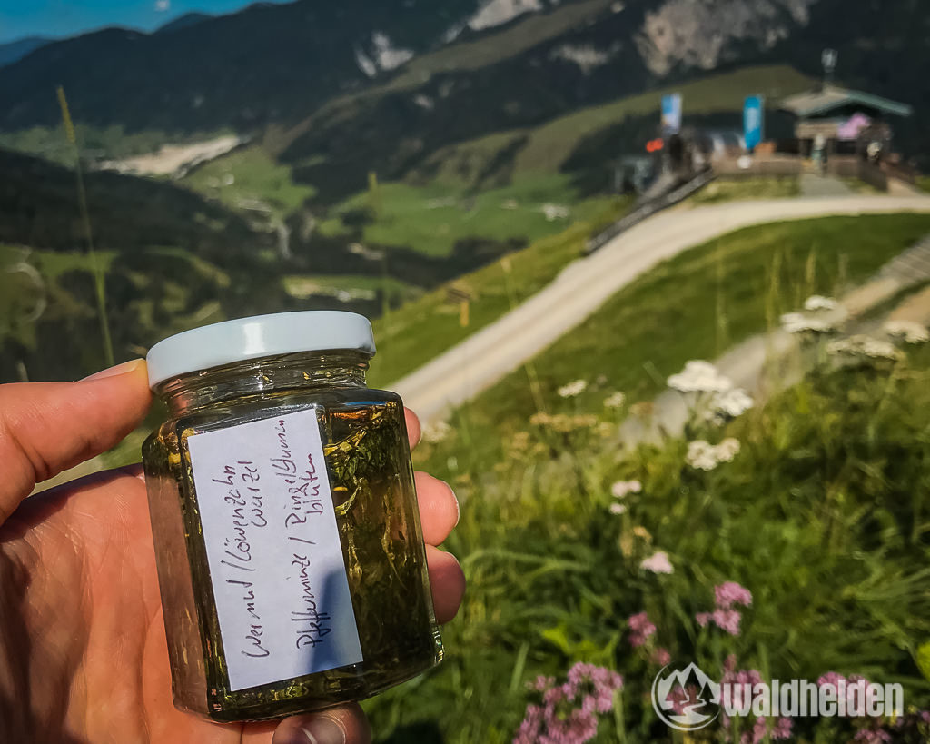 Leogang Saalfelden Sommer Kräuterworkshop Asitz