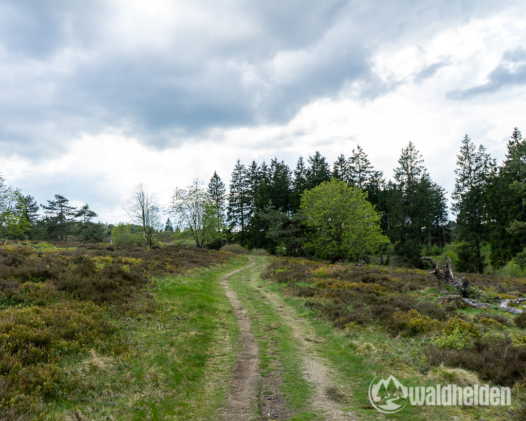 Sauerland Seelenorte Hochheide Niedersfeld