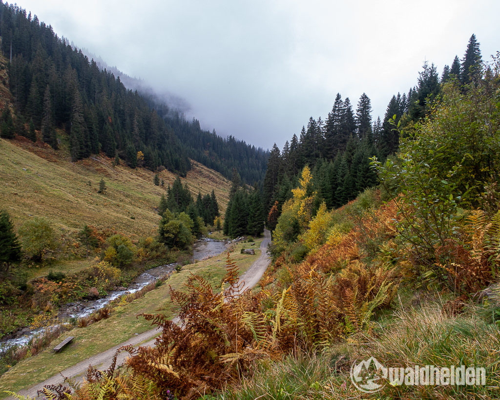 MTB Tour Silbertal Wasserstubental