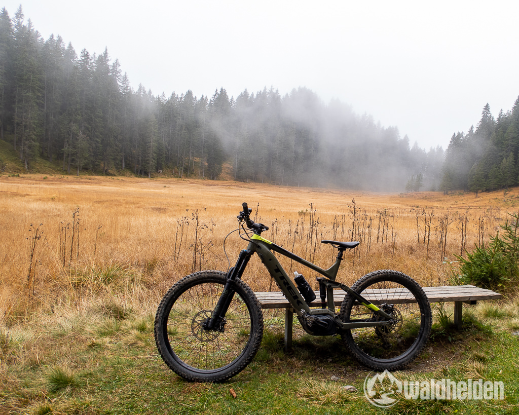 Wild Ried Montafon