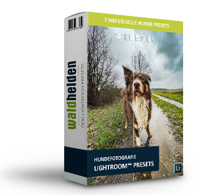 Waldhelden Preset Pack