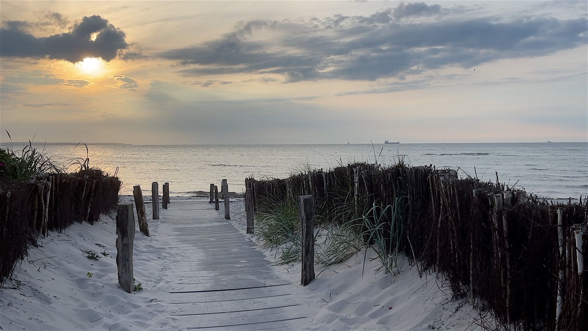 Ostsee Camping mit Hund - 10 der deutschen Küste