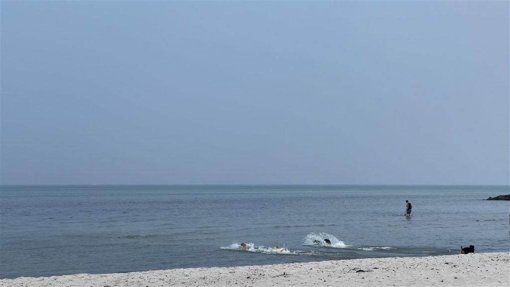 Ostsee Hundestrand Heidkate