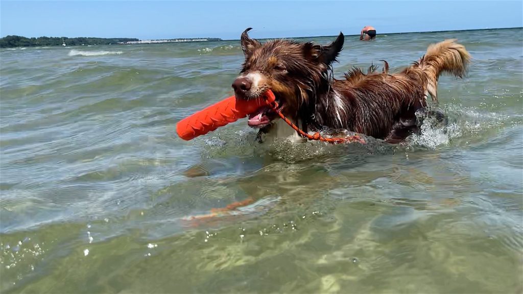 Ostsee Camping Hundestrand Wohlenberger Wiek