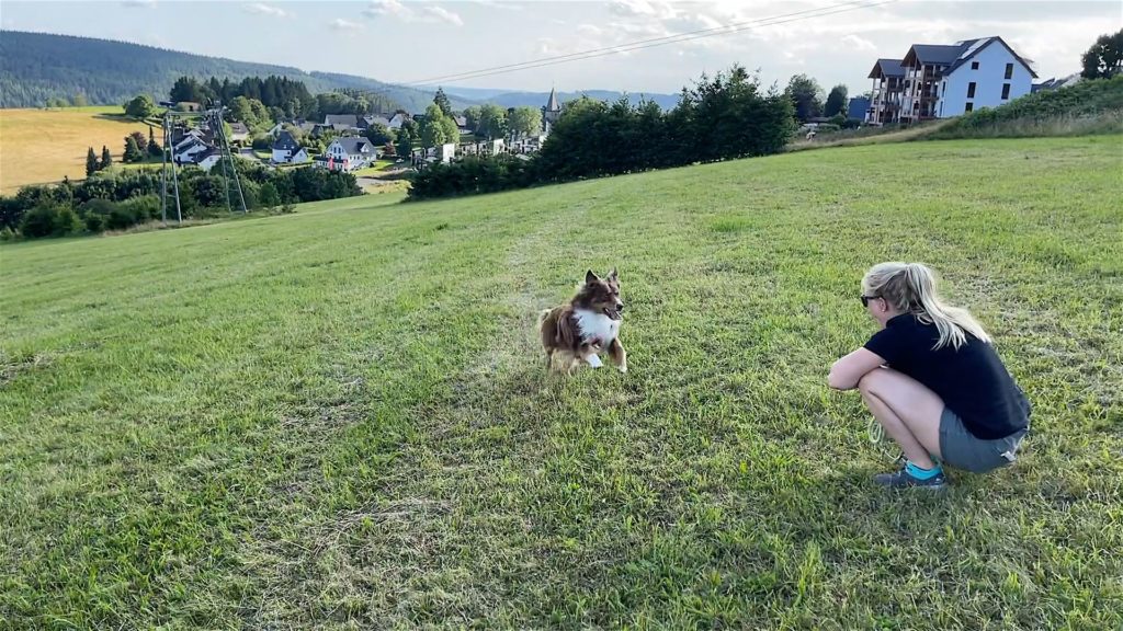 Herr Lehmann kann über die Postwiesen flitzen.