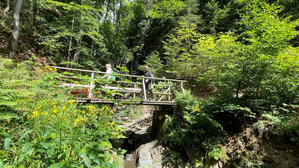 Winterberg-Schluchten-Brueckenpfad