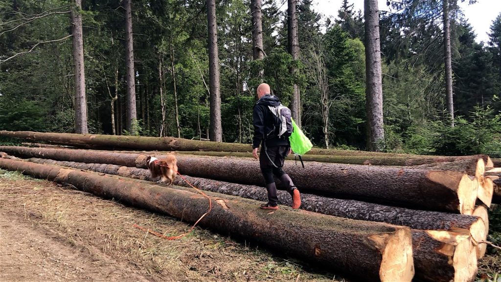 Mit Schleppleine auf Wanderung