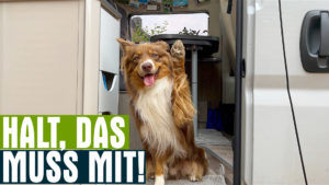 Wohnmobil mit Hund