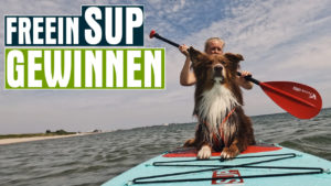 FreeIn SUP Test Gewinnspiel